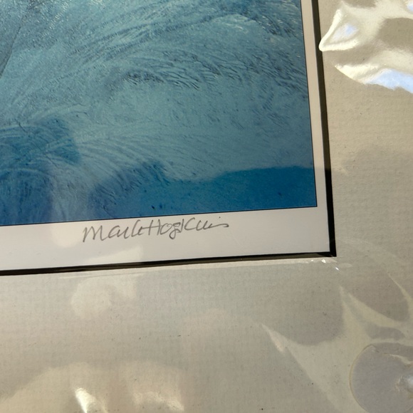 The Secret World of Frost Archival pigment print of a photograph by Mark Hopkins - Picture 3 of 4